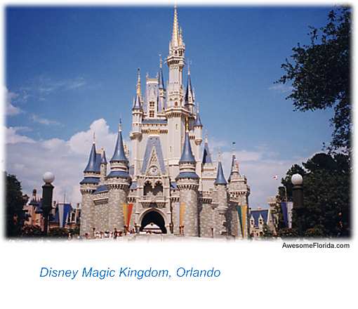 disney magic kingdom florida. Disney#39;s Magic Kingdom