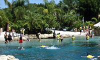 Tropical lagoon at Discovery Cove image