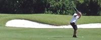 Florida Golfing image