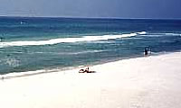 Panama City Beach image