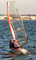 Windsurfer 